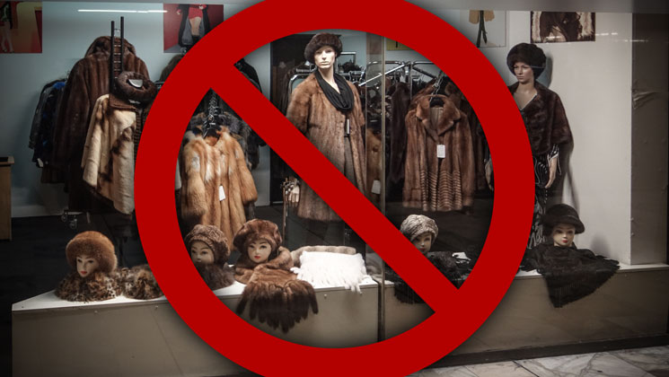 Norway Bans Fur Farming 