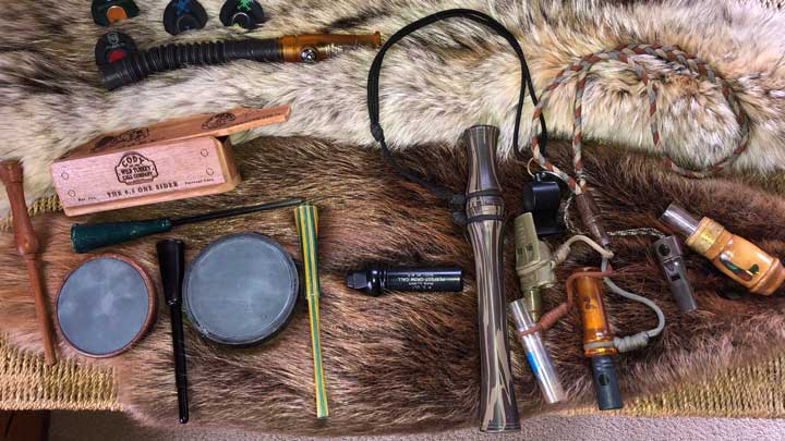 There's nothing like a shelter-in-place order to provide time for practicing your turkey calls. (Image by Peter Churchbourne.)