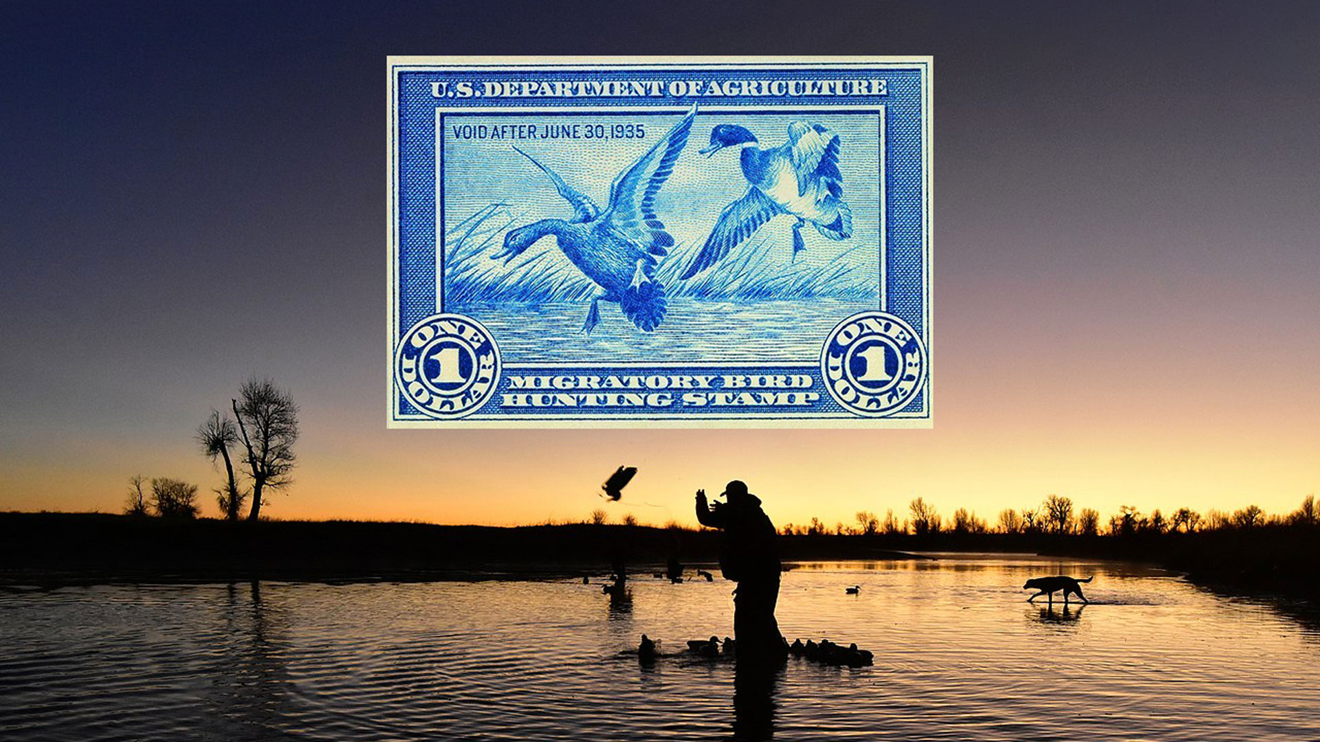 NRA Hunters Leadership Forum Federal Duck Stamps May Become