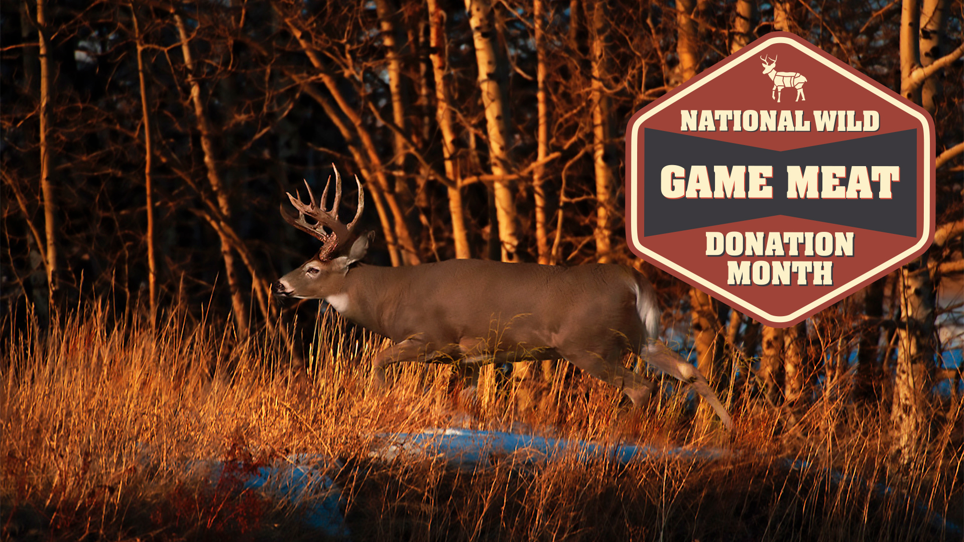 NRA, American Hunters and Multiple U.S. Governors Celebrate National Wild Game Meat Donation Month in November