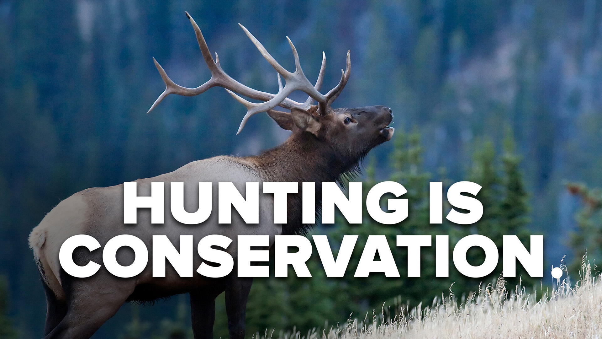 Colorado Parks and Wildlife Commission Faces Controversy with New Anti-Hunting Appointees