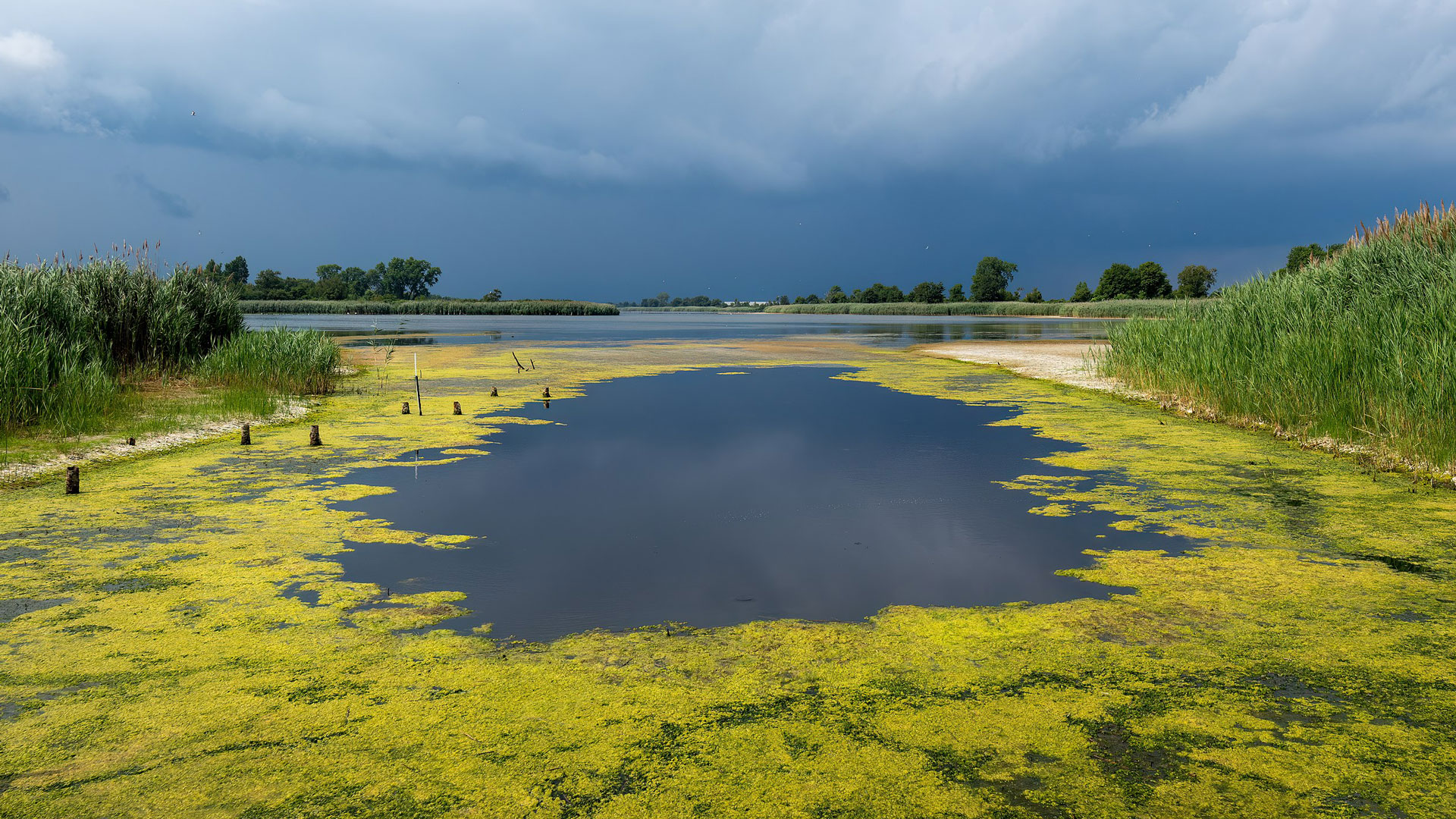 U.S. Fish and Wildlife Service Welcomes Public Input to Enhance Access to Federal Lands