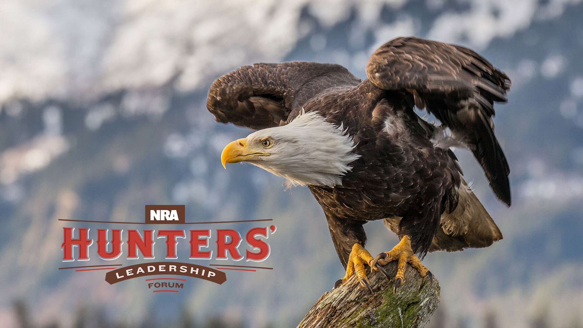 The Year in Review: The NRA Hunters’ Leadership Forum Website’s Top News Stories of 2024