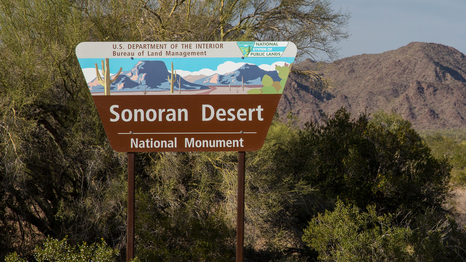 NRA Files Lawsuit Opposing Biden Administration’s Shooting Ban on Sonoran Desert National Monument